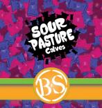 Bolero Snort  Brewery - Sour Pasture Calves (4 pack bottles)