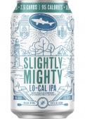 Dogfish Head - Slightly Mighty LoCal IPA (12 pack bottles)